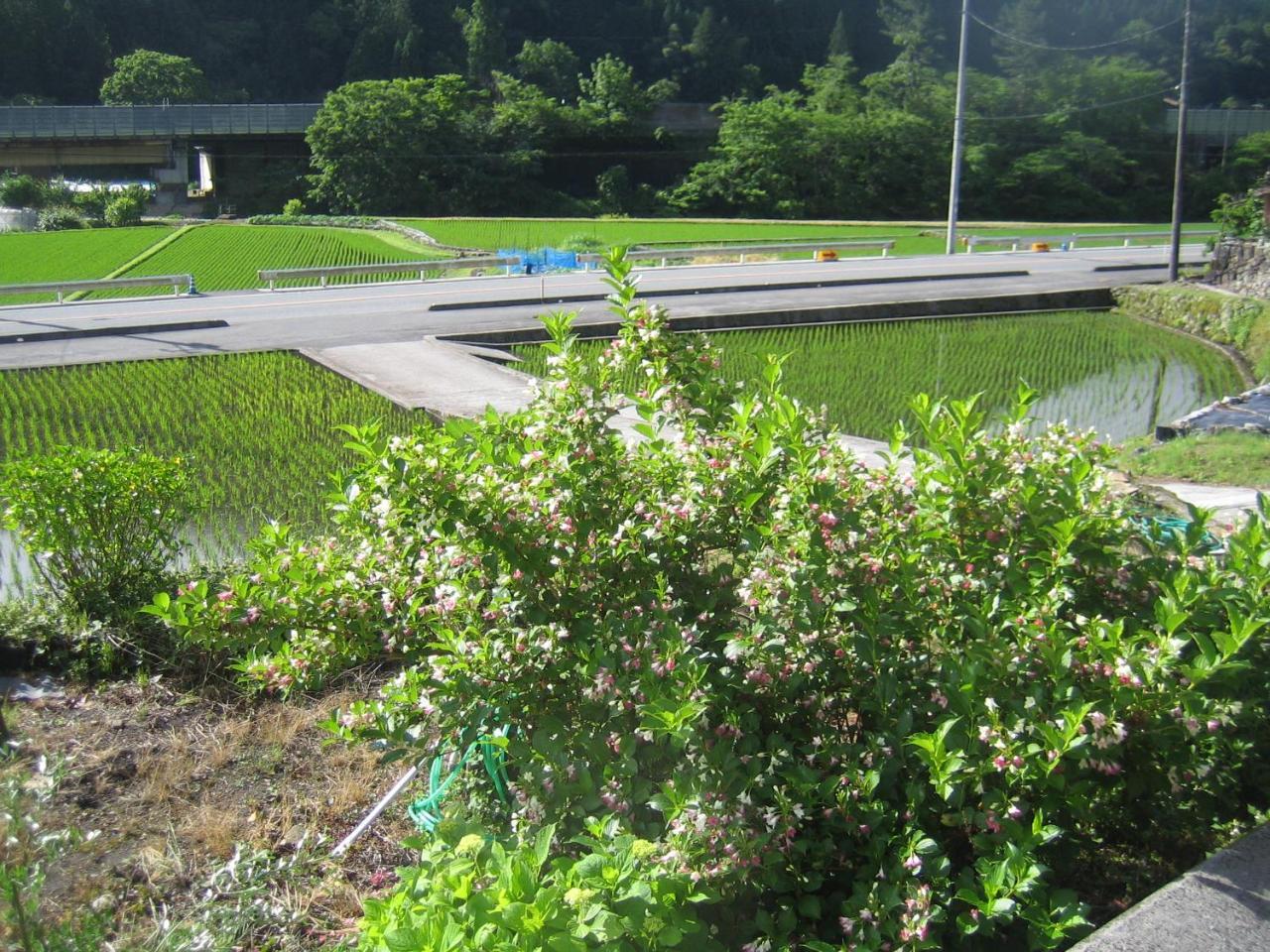 Japanese Style Inn Dohzen Miwa Niimi ภายนอก รูปภาพ